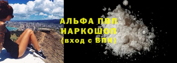 прущий лед Богданович