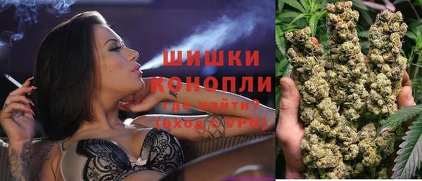 стафф Бородино
