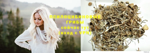 дживик Бутурлиновка